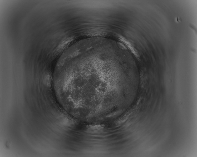 X0000091920161200709191347