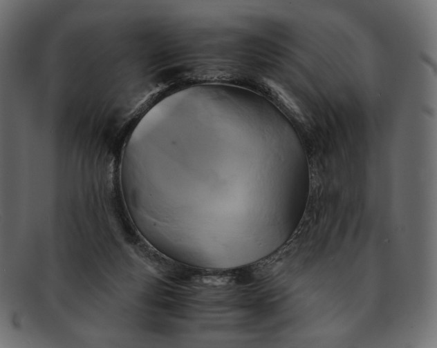 X0000091920163200709191347