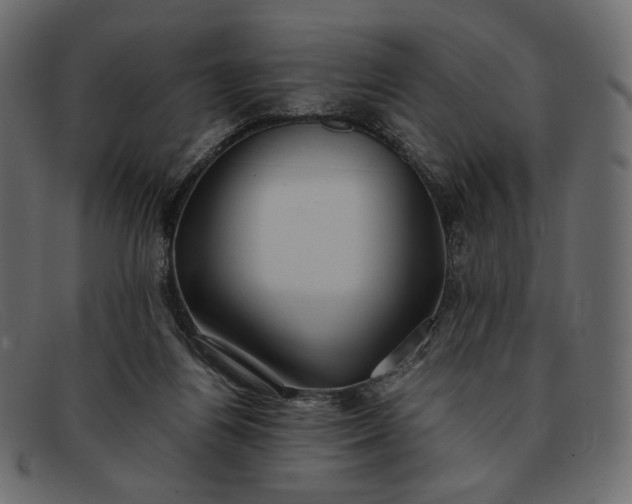 X0000091920164200709191347