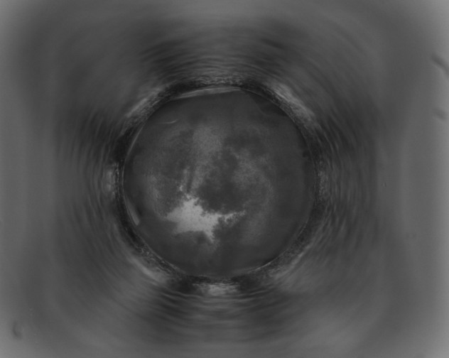 X0000091920165200709191347