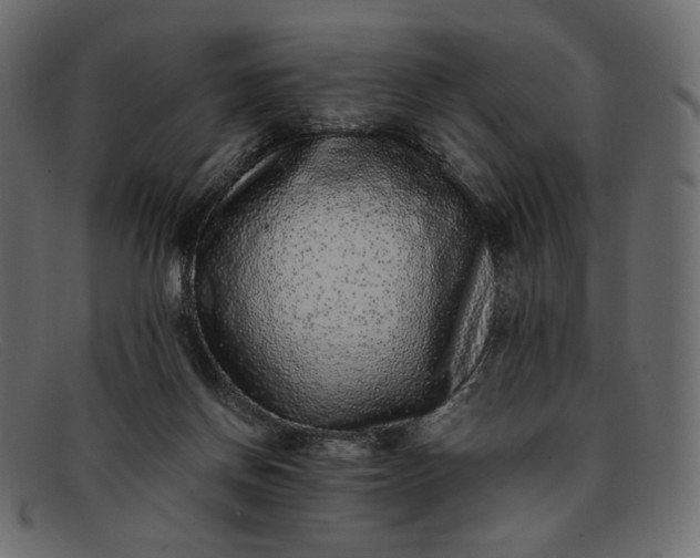 X0000091920166200709191347