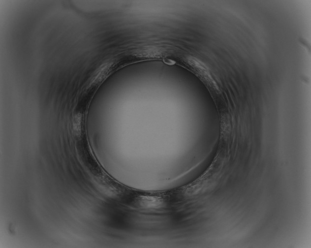 X0000091920167200709191347