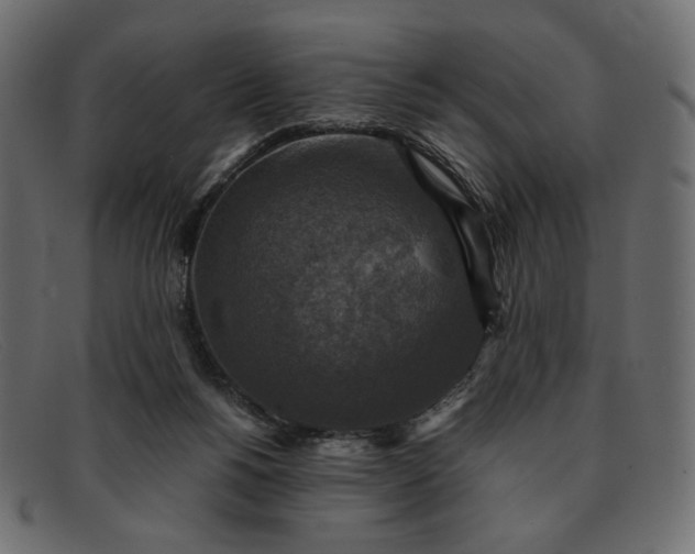 X0000091920168200709191347