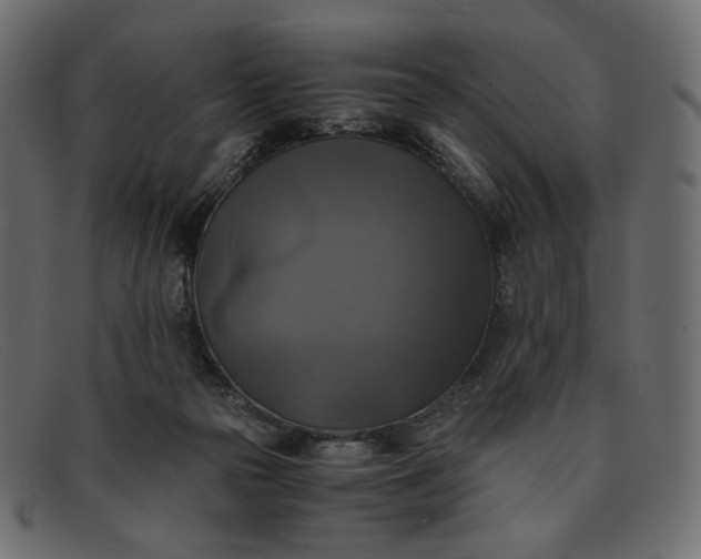 X0000091920169200709191347