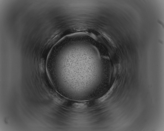 X0000091920170200709191347