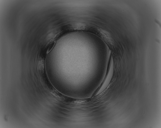 X0000091920172200709191347