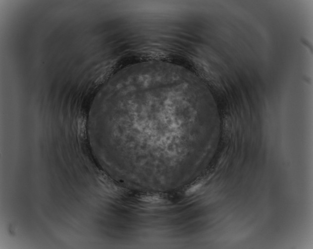 X0000091920177200709191347