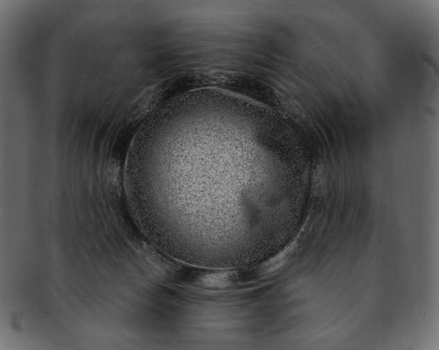 X0000091920178200709191347