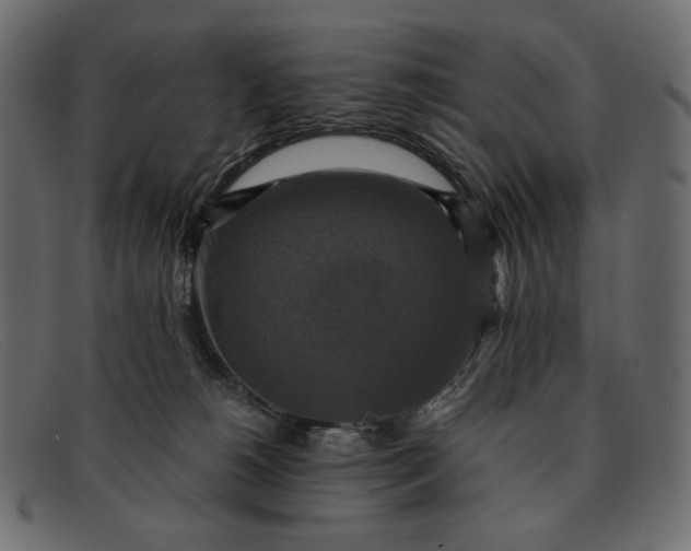 X0000091920180200709191347