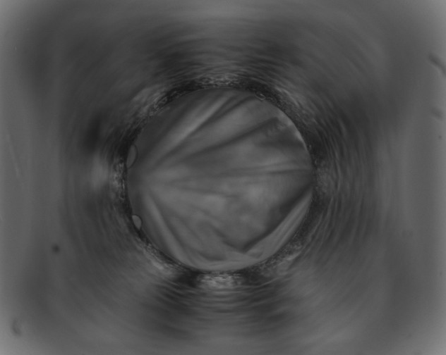 X0000091920181200709191347