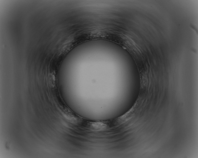 X0000091920183200709191347