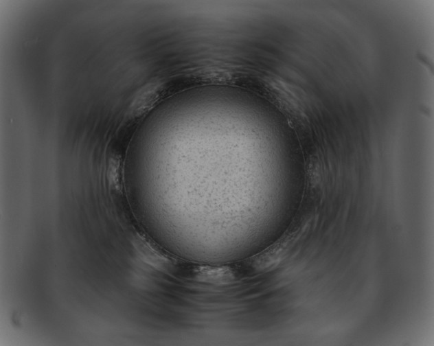 X0000091920185200709191347