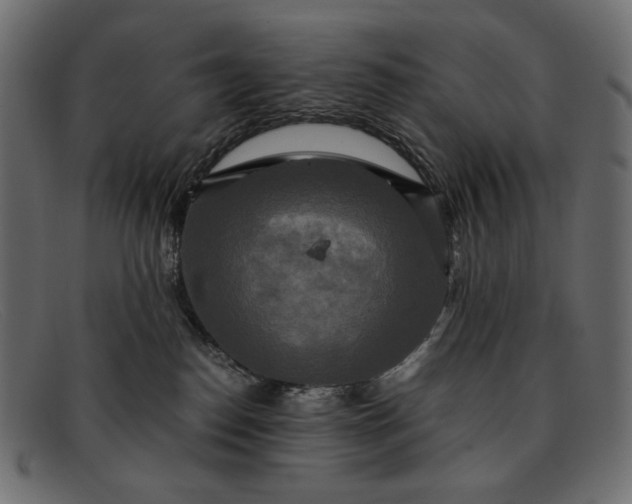 X0000091920186200709191347