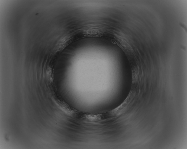 X0000091920187200709191347