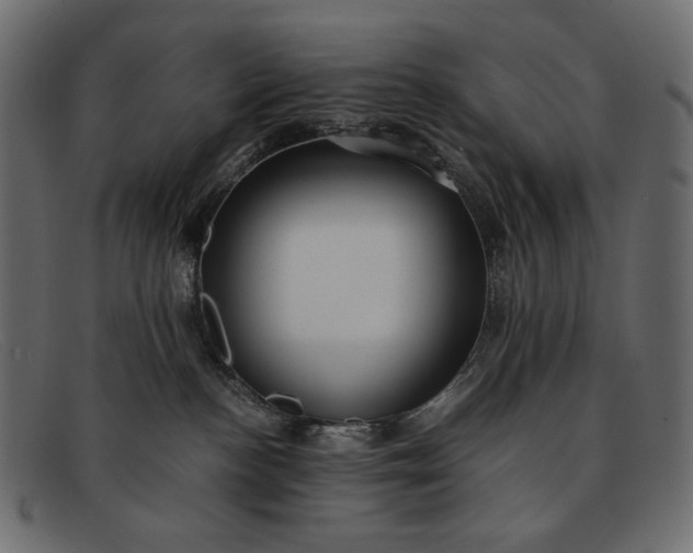 X0000091920188200709191347