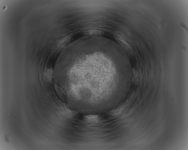 X0000091920189200709191347