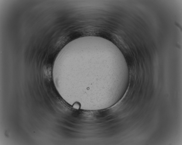 X0000091920190200709191347