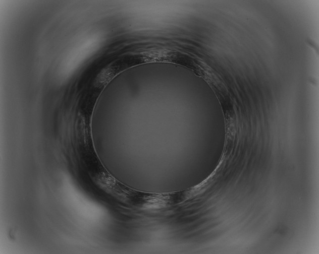 X0000091920191200709191347