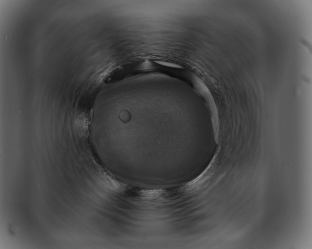 X0000091920192200709191347