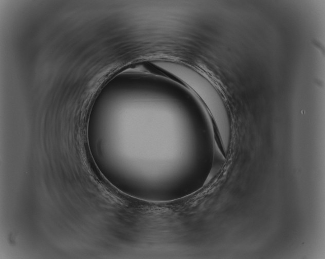 X0000091920193200709191346