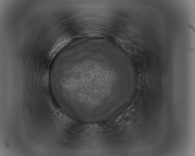 X0000091920194200709191346