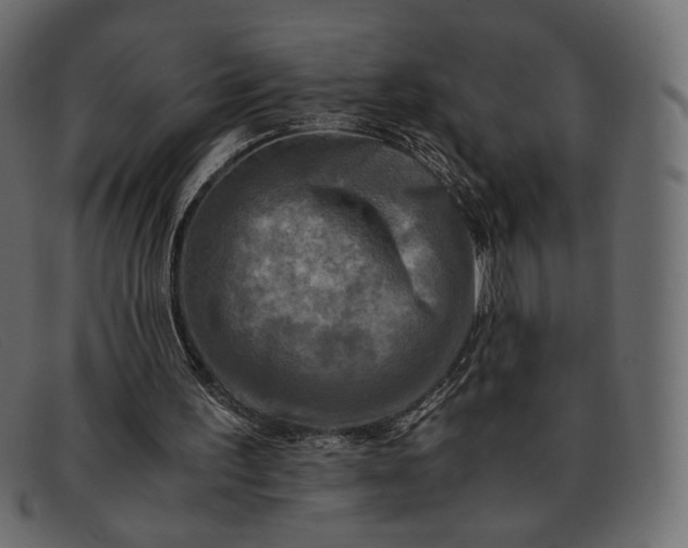 X0000091920195200709191346