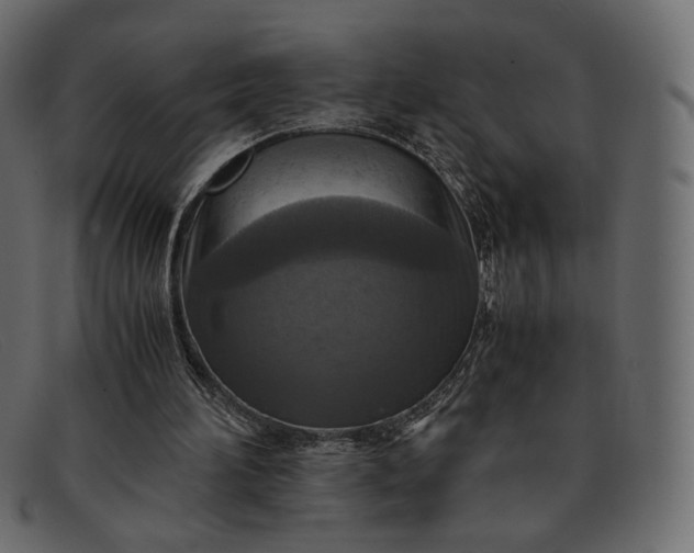 X0000091920196200709191346