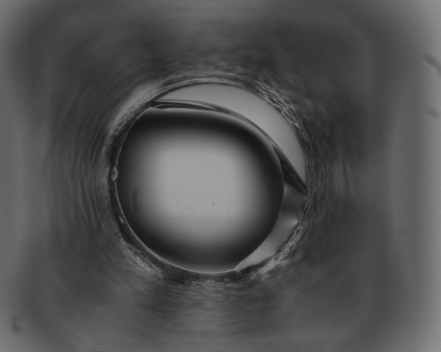 X0000091920197200709191346