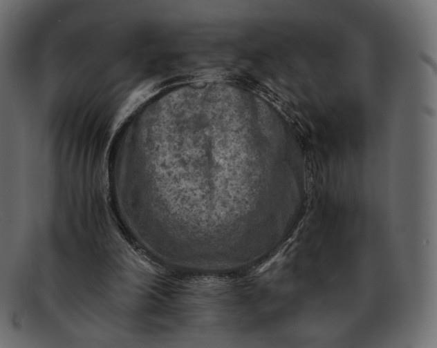 X0000091920198200709191346