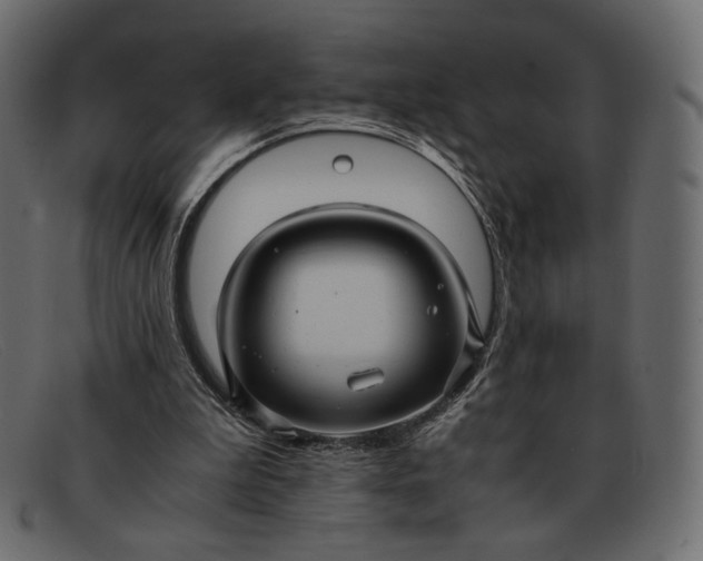 X0000091920199200709191346