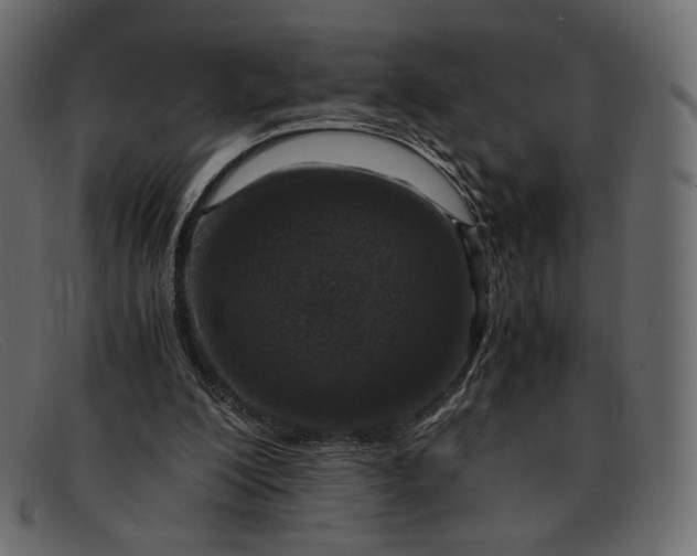 X0000091920200200709191346