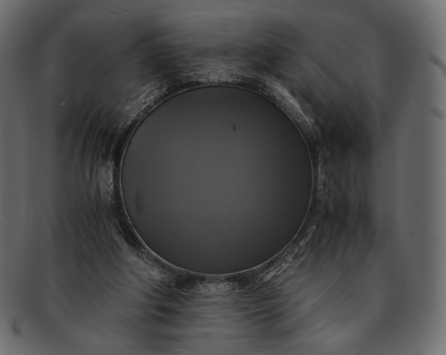 X0000091920202200709191346