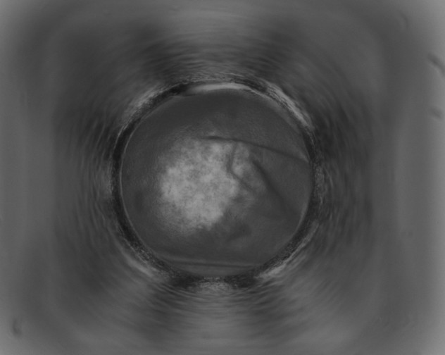 X0000091920203200709191346