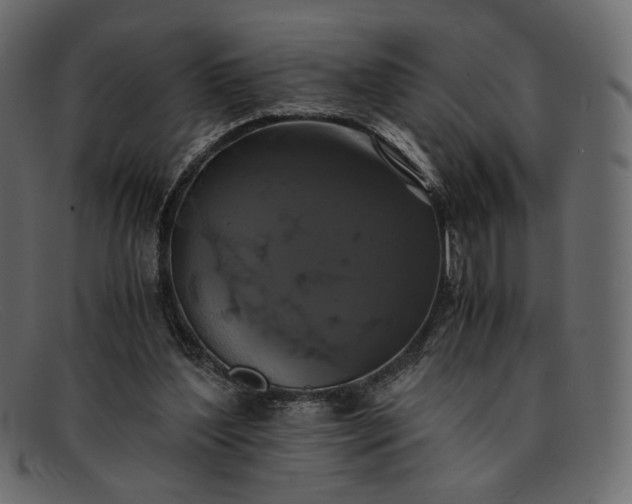 X0000091920204200709191346