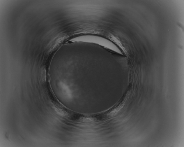 X0000091920205200709191346