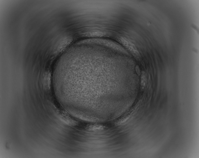 X0000091920206200709191346