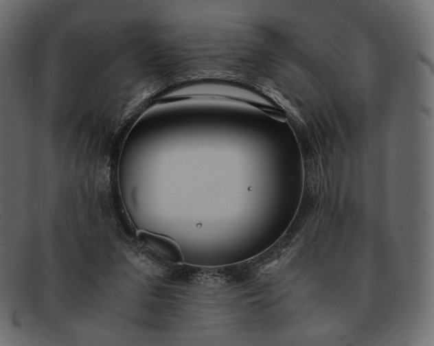 X0000091920207200709191346