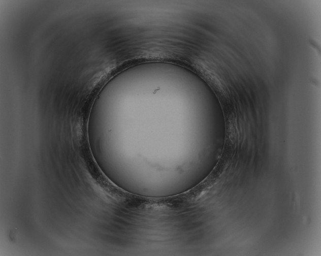 X0000091920208200709191346