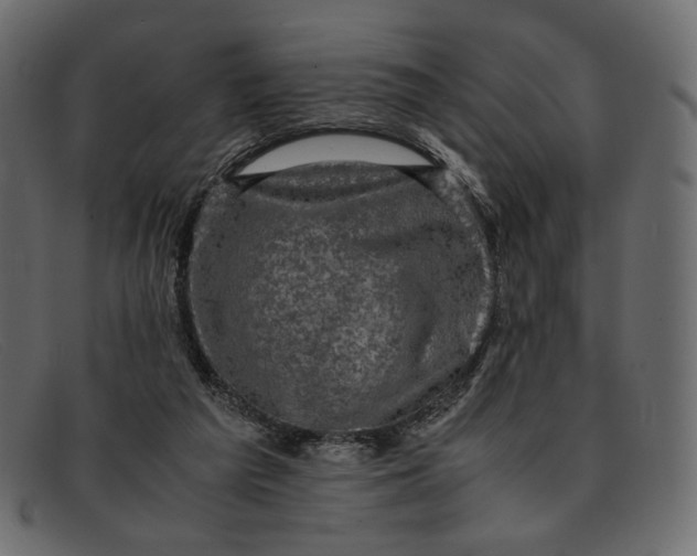 X0000091920209200709191346