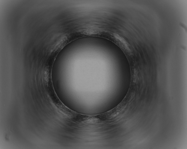 X0000091920210200709191346