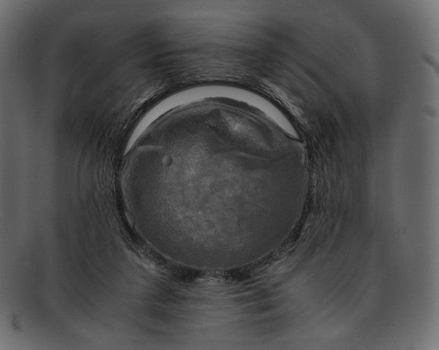 X0000091920211200709191346