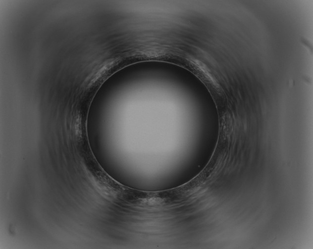 X0000091920212200709191346