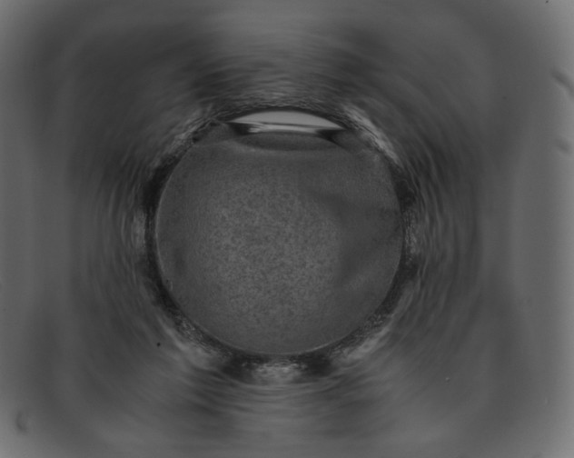 X0000091920213200709191346