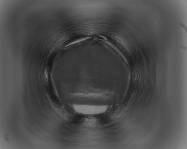 X0000091920214200709191346