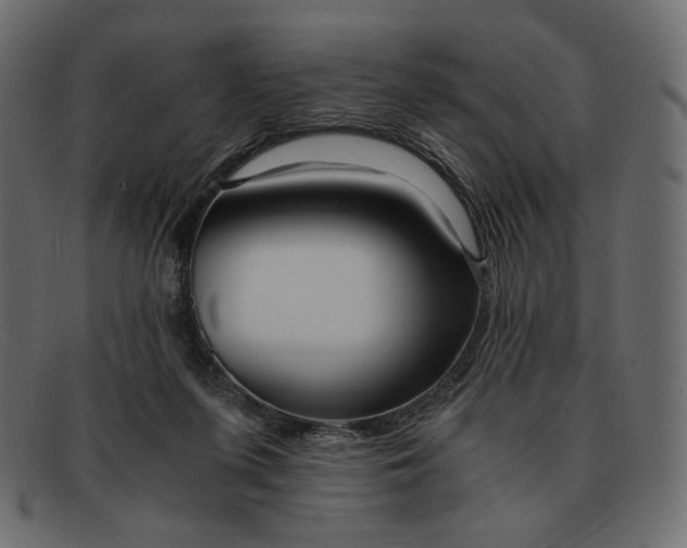 X0000091920215200709191346