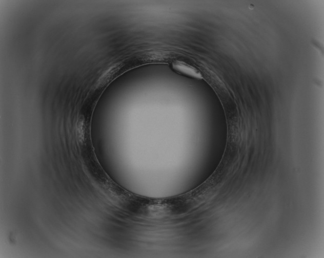 X0000091920216200709191346