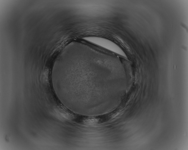 X0000091920217200709191346