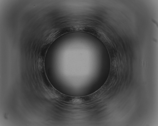 X0000091920218200709191346