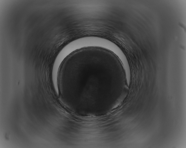 X0000091920219200709191346