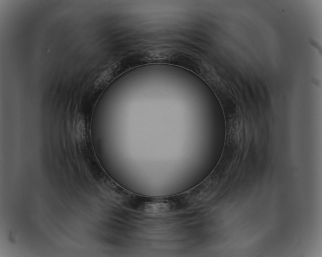 X0000091920220200709191346